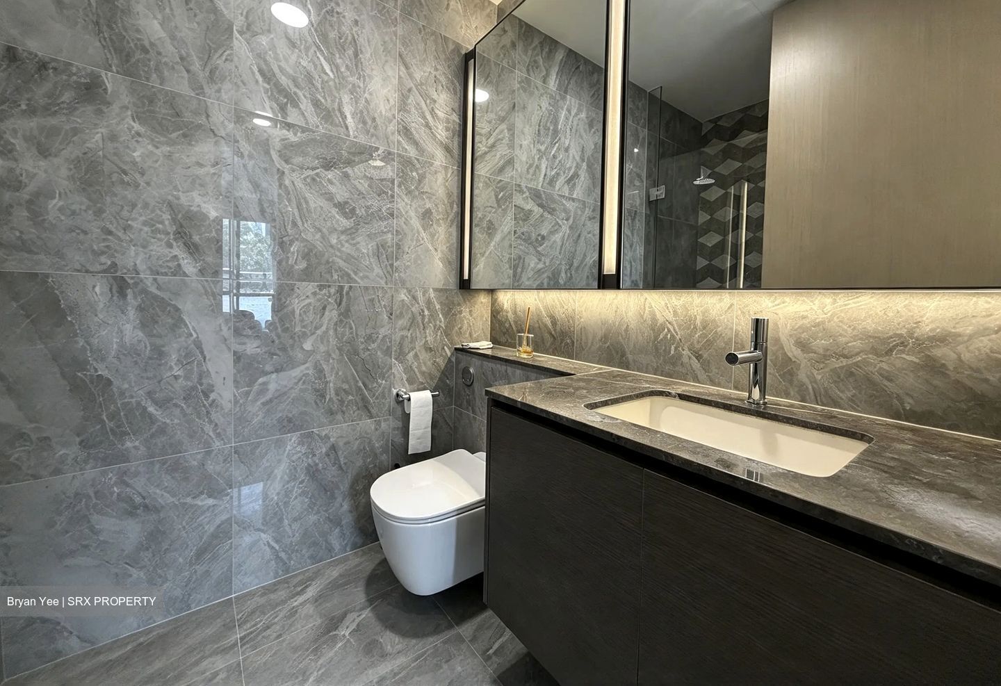 Leedon Green (D10), Condominium #630161001